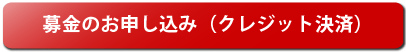 募金のお申し込み（クレジット決済）