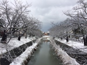 ほんの少し前には　雪が積もったのです。この日は中学校の卒業式でした