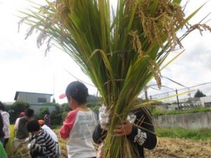 鳥取こども学園