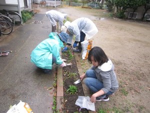 球根ん植え121