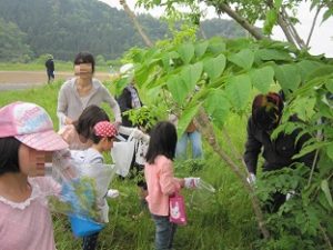 土曜学校山菜採り02